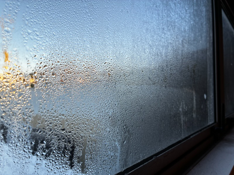 windows-covered-in-condensation